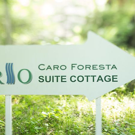 Caro Foresta Kita Karuizawa Rio Hotel สึมาโกอิ ภายนอก รูปภาพ